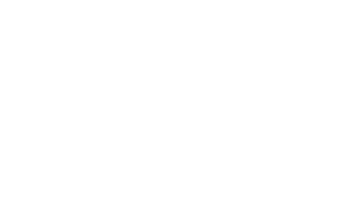 Aiden Logo